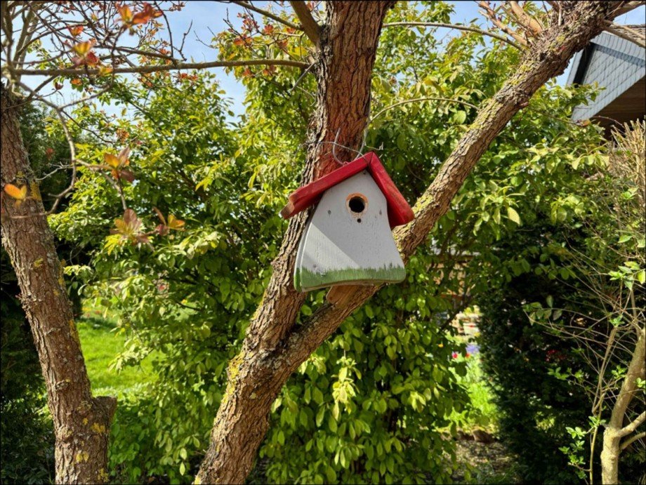 Traumgarten Einfamilienhaus Wolfsburg